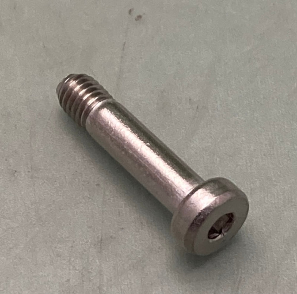 QTY 2 Sea-Doo by BRP 250000018 Screw-Pivot New Genuine