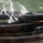 NEW GENUINE FLOWRITE MPA-CBL-12 CONTROL CABLE 12'