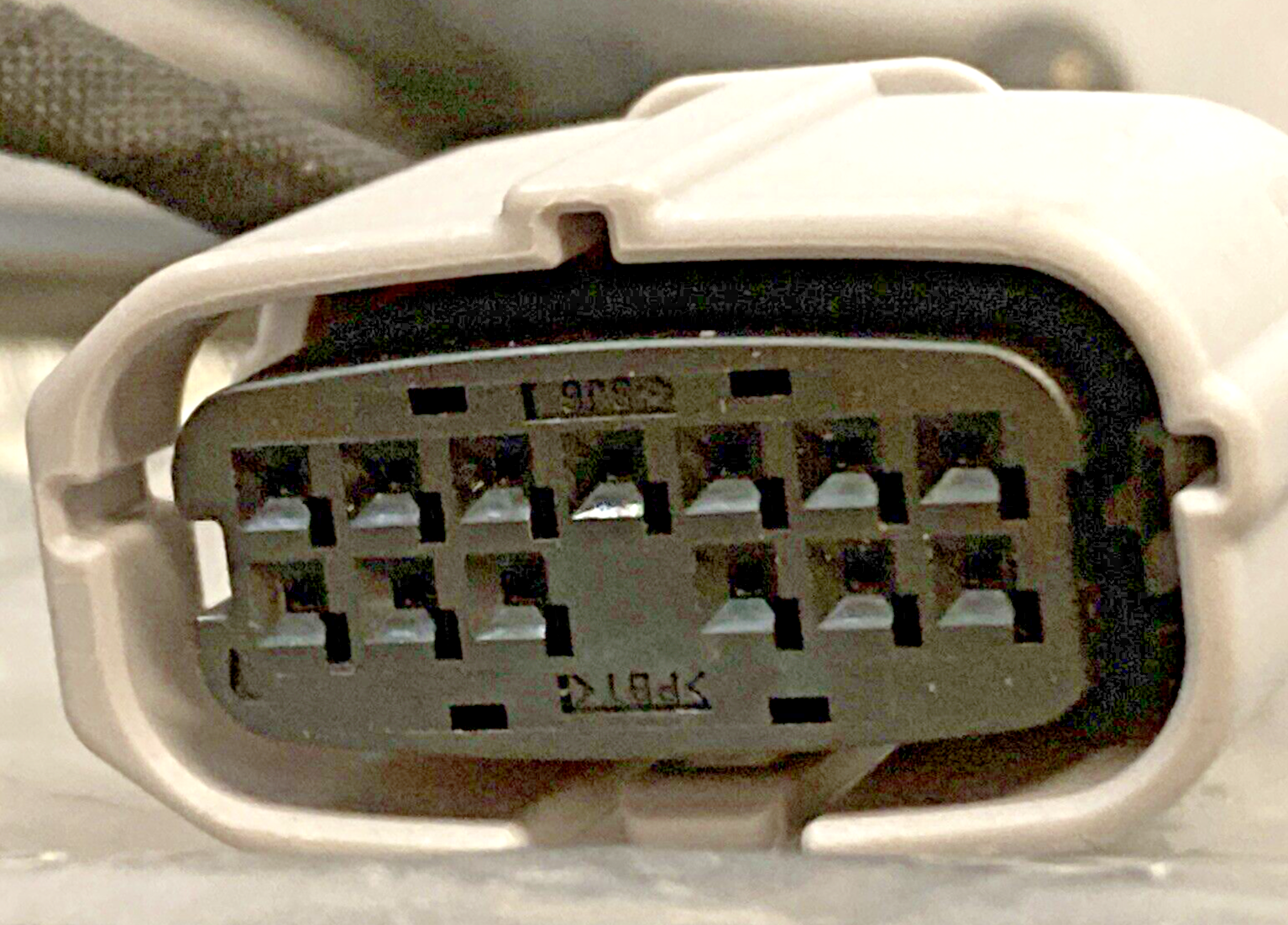 43677902