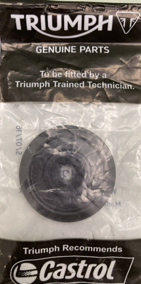 NEW GENUINE TRIUMPH T2043528 Bar End Weight