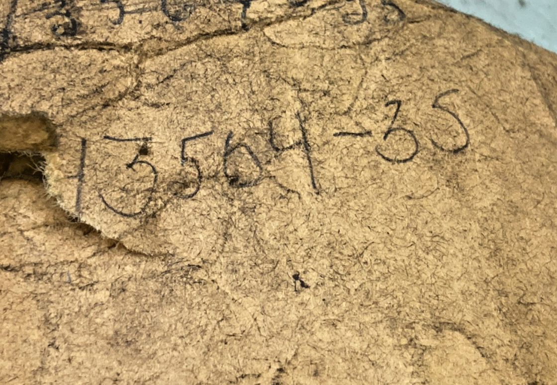 44464282