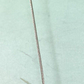 44037943