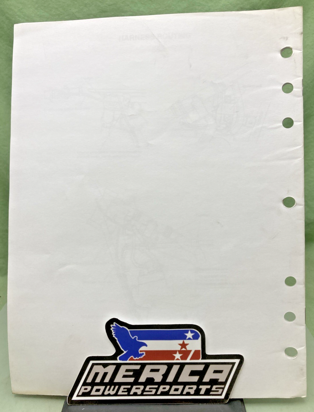 44912304