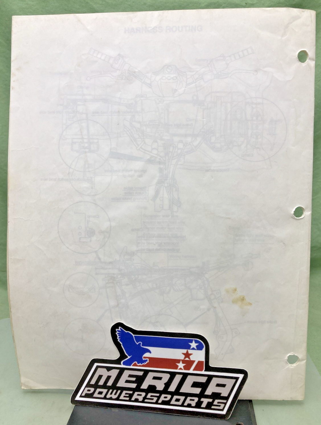 44905726