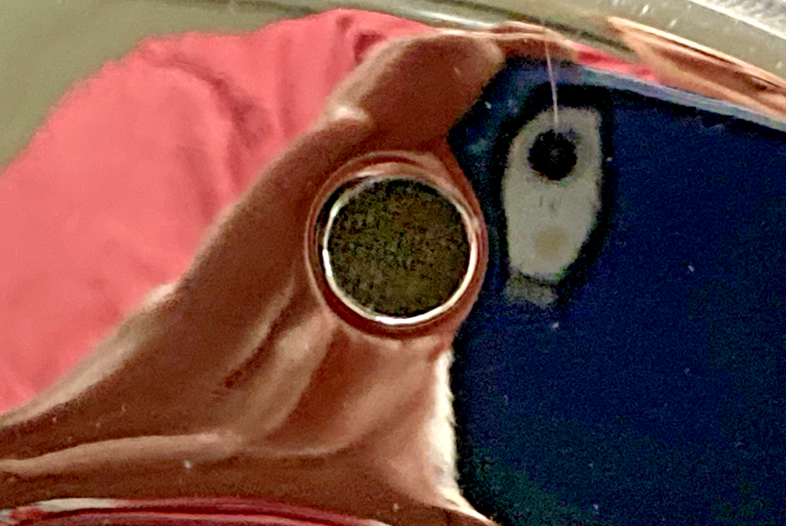 44482045