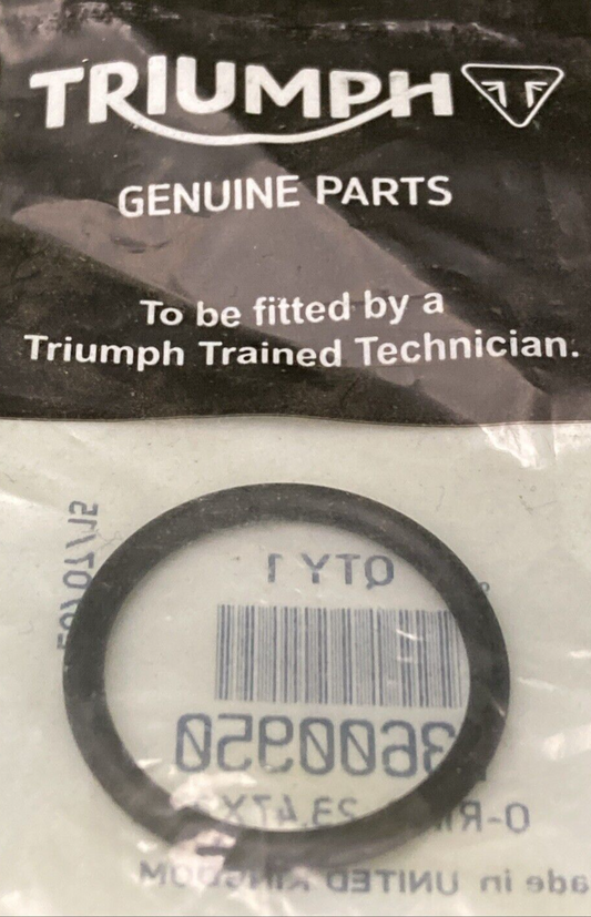 43702719