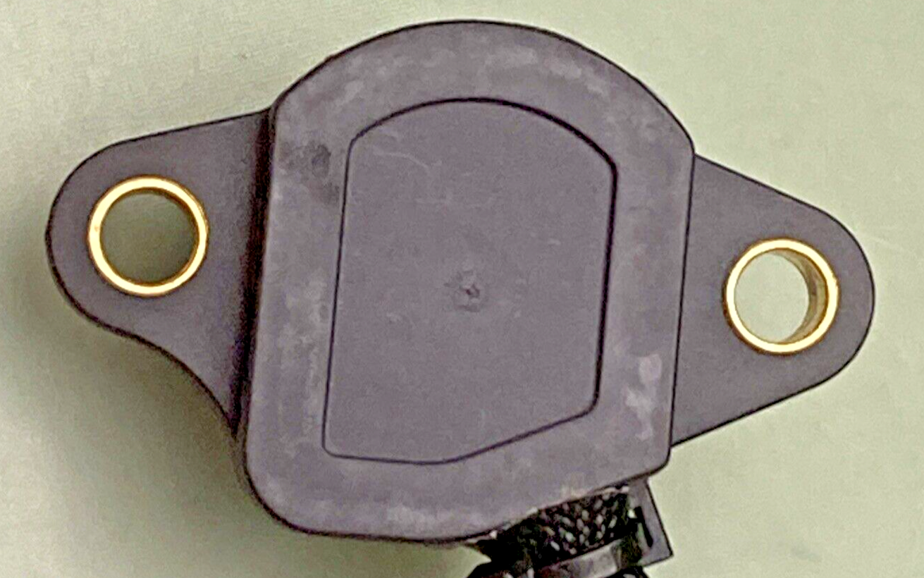 43693390