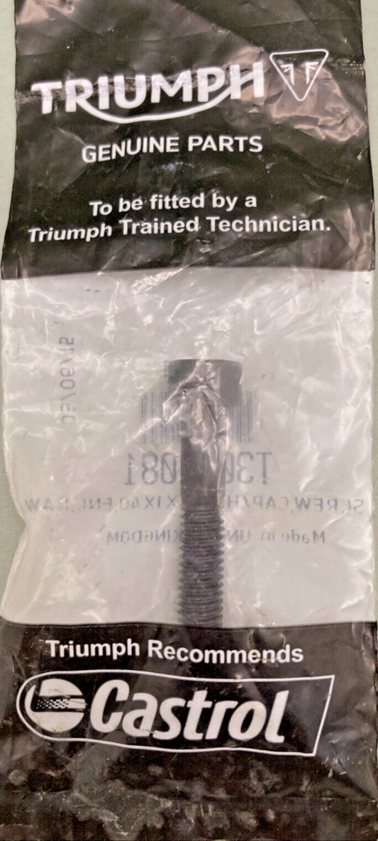 NEW GENUINE TRIUMPH T3051081 Screw, Cap/hd, M6X1X40, Enc, Raw