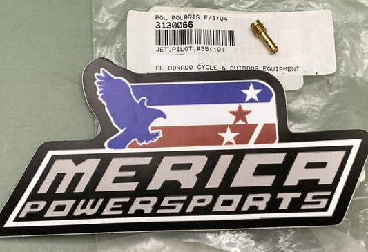 NEW GENUINE POLARIS 3130066 Pilot Jet