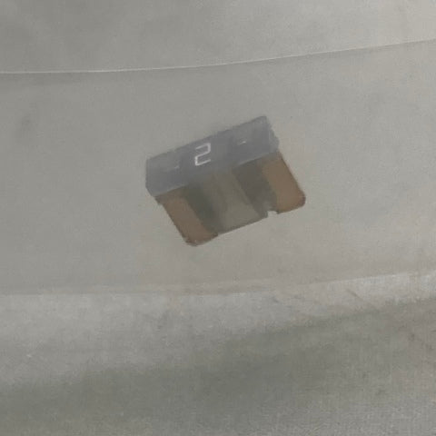 General Motors 13586687 2 Amp Fuse New Genuine