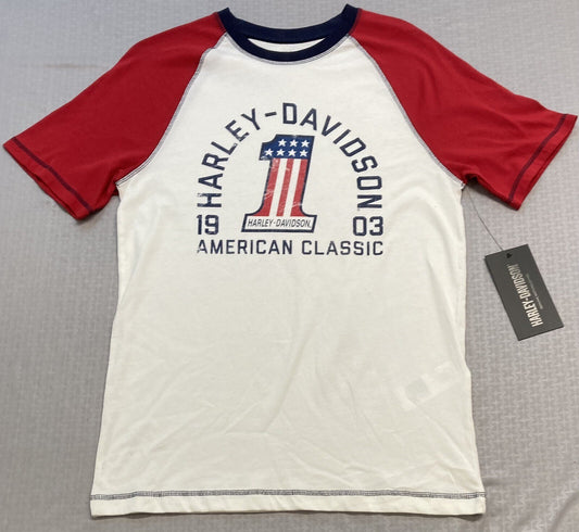 NEW HARLEY DAVIDSON 96534-22VM Men's MEDIUM American Heritage Raglan Tee
