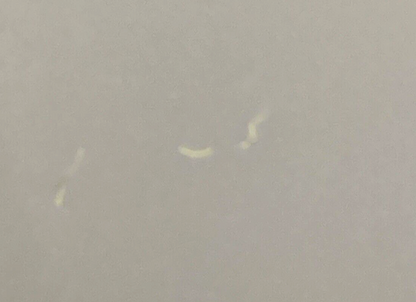 NEW GENUINE HARLEY DAVIDSON 2011181 JACKET BABE METAL SIGN