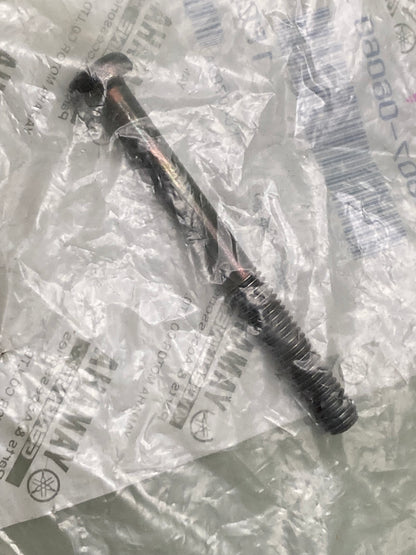 New Genuine Yamaha 98507-06060 Screw, Pan, Head