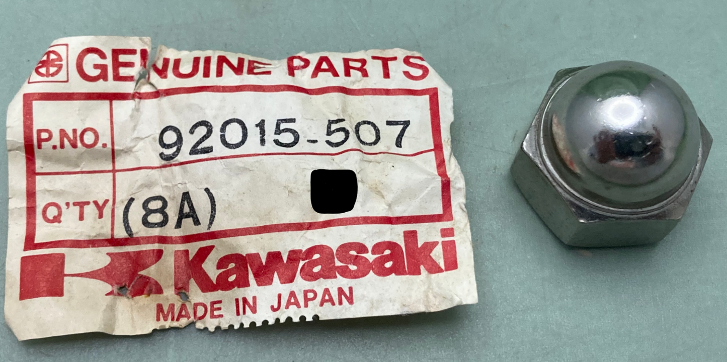 New Genuine Kawasaki 92015-507 Nut 14M/M