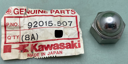 New Genuine Kawasaki 92015-507 Nut 14M/M