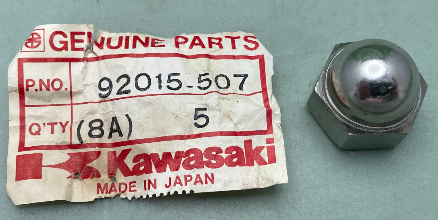 New Genuine Kawasaki 92015-507 Nut 14M/M
