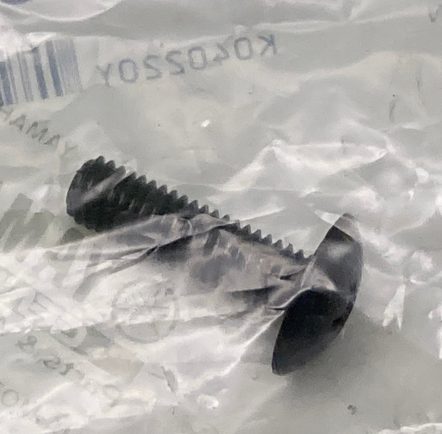 New Genuine Yamaha 90150-05024 Screw, Round, Head; 90150-05024-00
