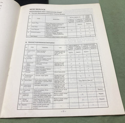 Genuine Yamaha LIT-11616-01-67 DT100G Supp. Service Manual 1979