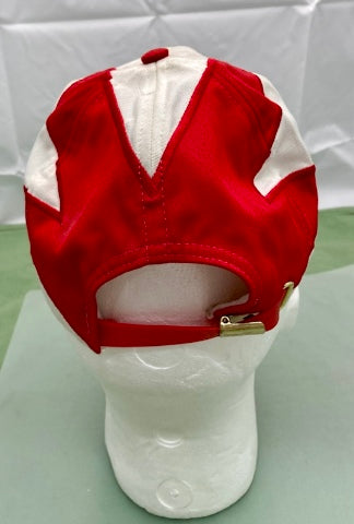 Competitors View Jeff Gordon #24 Hat New