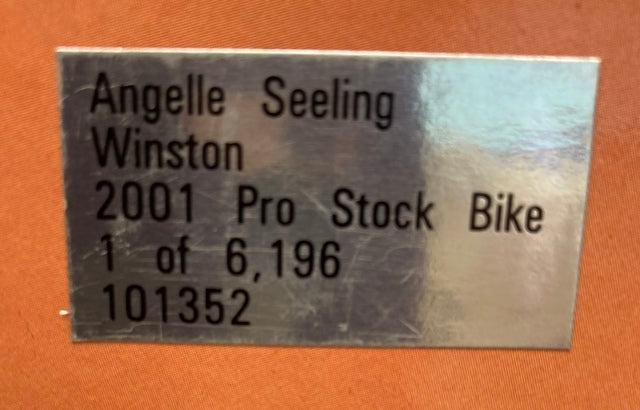 Action 1:9 Angelle Seeling Winston 2001 Pro Stock Bike 101352 New