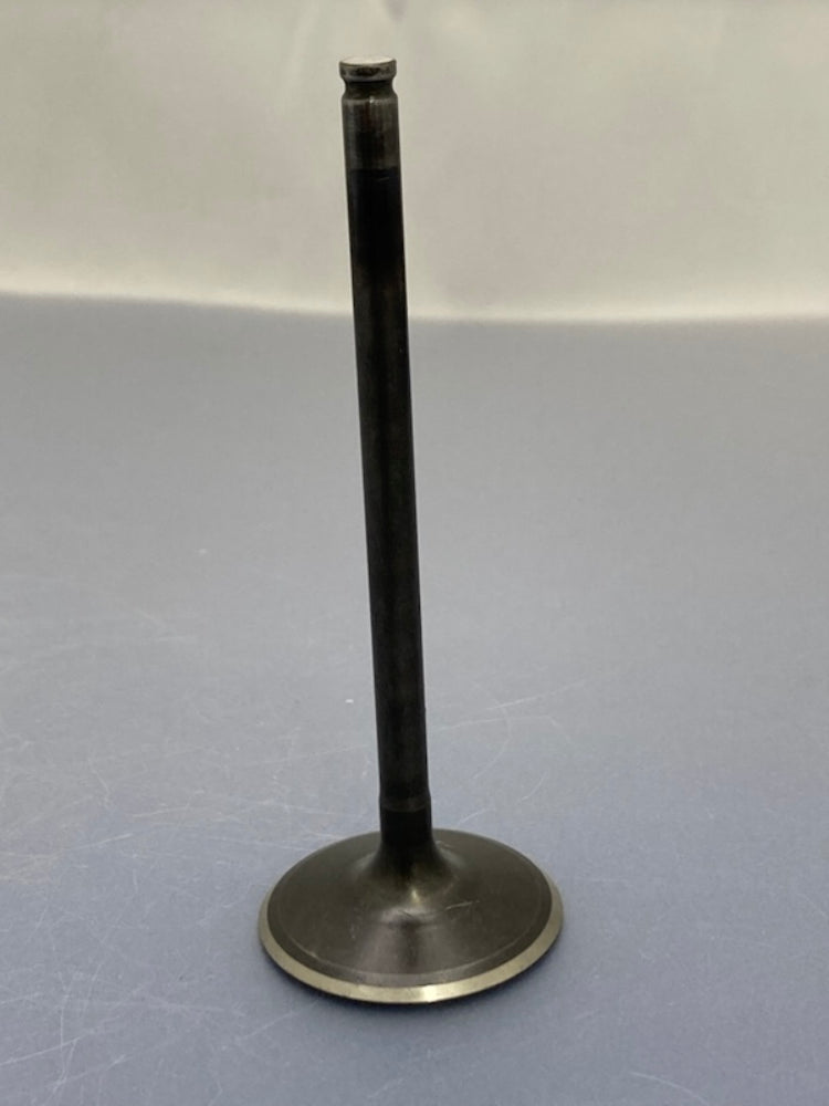 Polaris 3022414 Intake Valve New Genuine