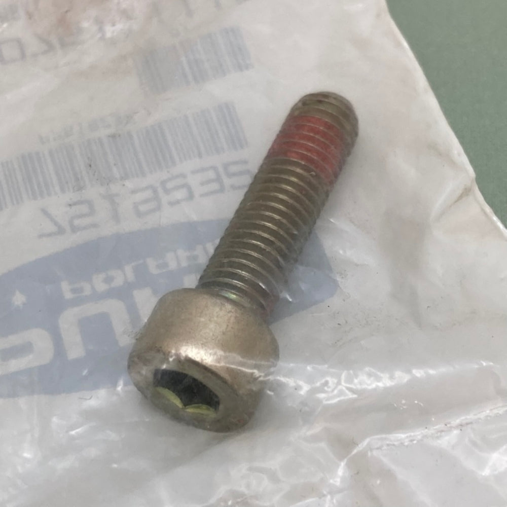 Polaris 7519232 Screw, Sh-M8x1.25X30 8.8 Zy New Genuine