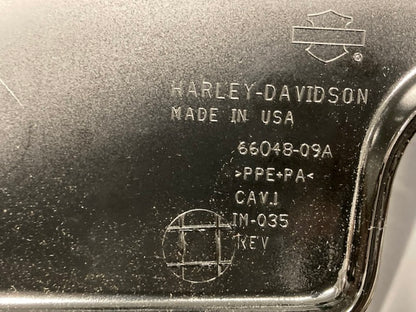 Harley-Davidson 66048-09A RH Side Cover Silver Pinstripe New Genuine