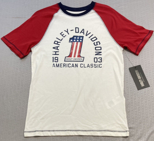 NEW HARLEY DAVIDSON 96534-22VM Men's SMALL American Heritage Raglan Tee