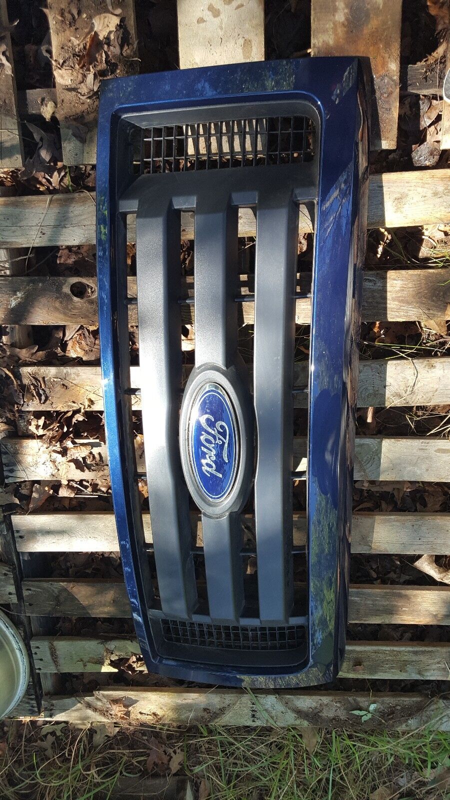 Genuine Ford 9L3Z-8200-A Radiator Grille Assembly Blue Lightening Blue