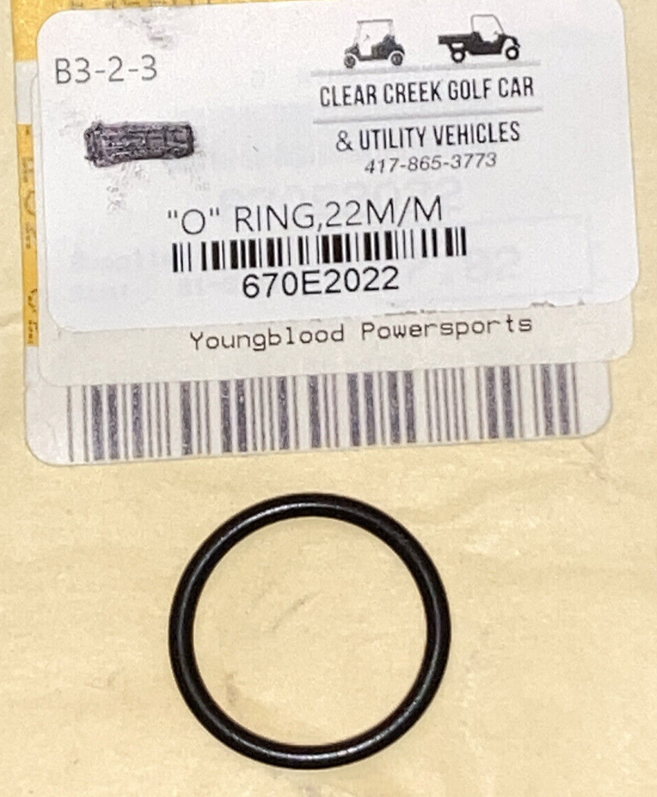 QTY 2 NEW REPLACES KAWASAKI 670E2022 O RING 22MM CAMSHAFT